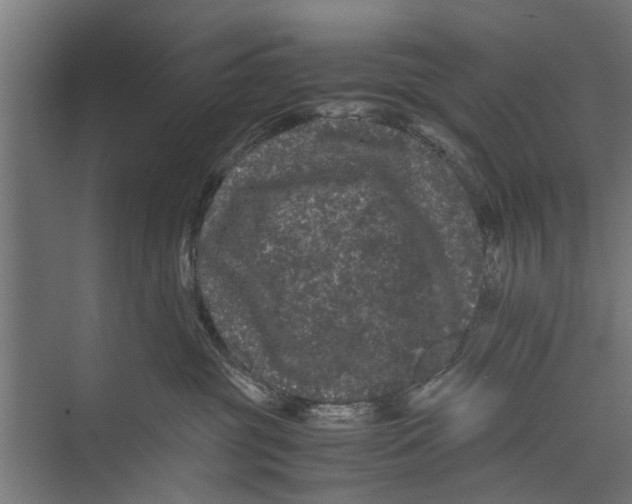 X0000071900381200608041349