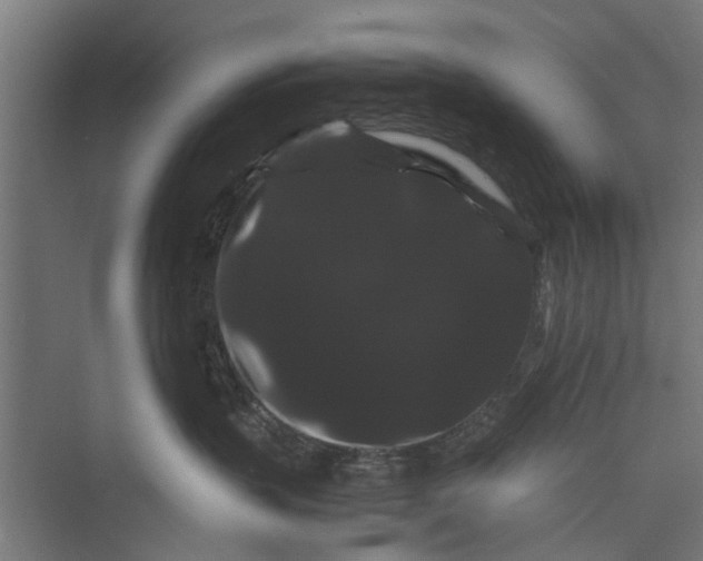 X0000071900383200608041349