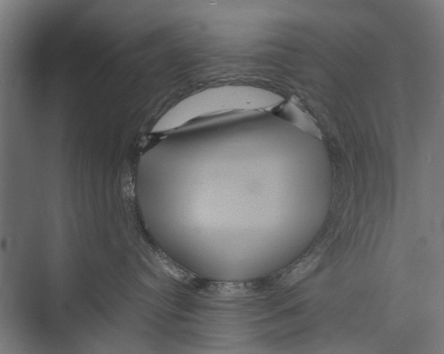 X0000071900384200608041349