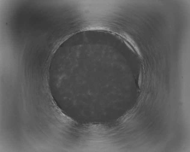 X0000071900385200608041348