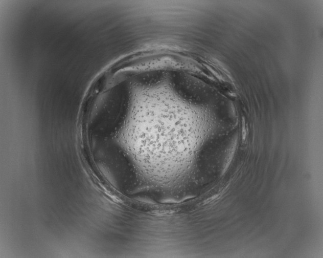 X0000071900388200608041348