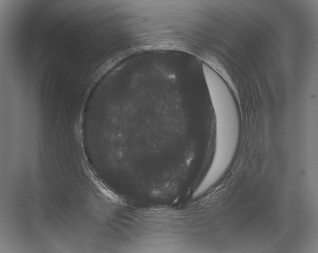 X0000071900389200608041348