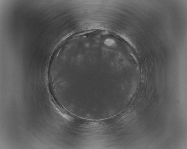 X0000071900390200608041348