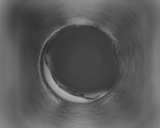 X0000071900391200608041348