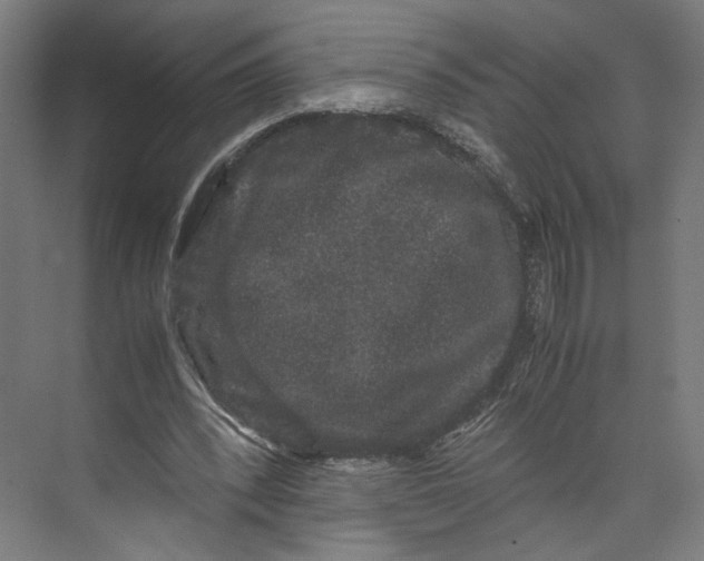 X0000071900392200608041348