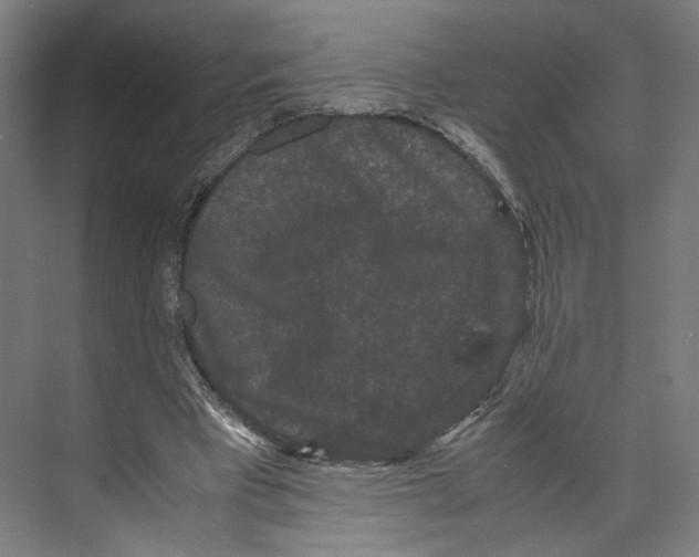 X0000071900393200608041348