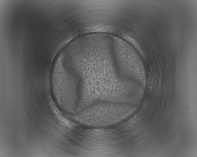 X0000071900394200608041348