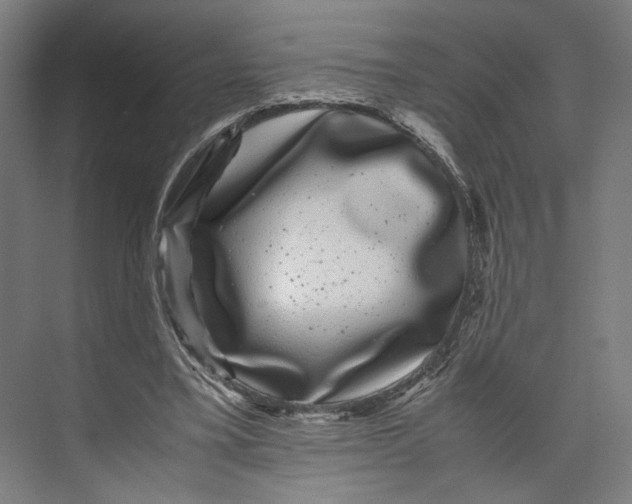 X0000071900395200608041348