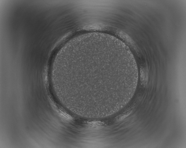 X0000071900396200608041348