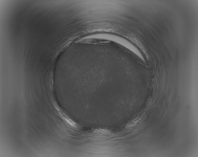 X0000071900397200608041348