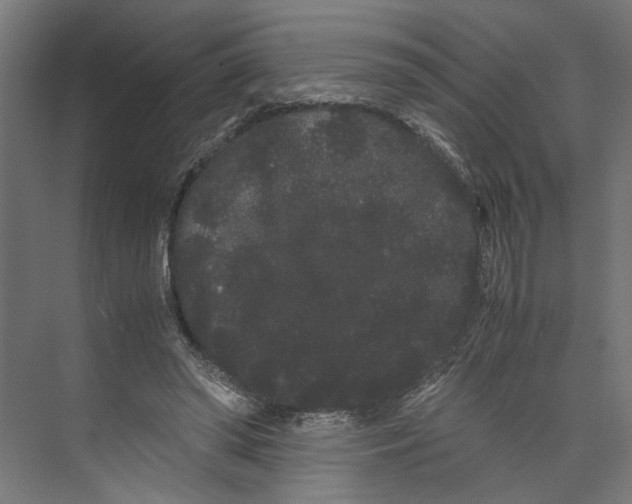 X0000071900398200608041348