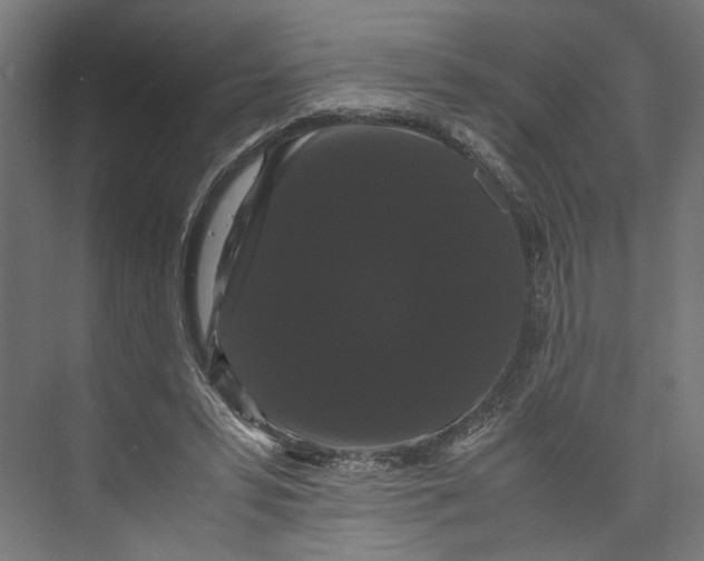 X0000071900399200608041348