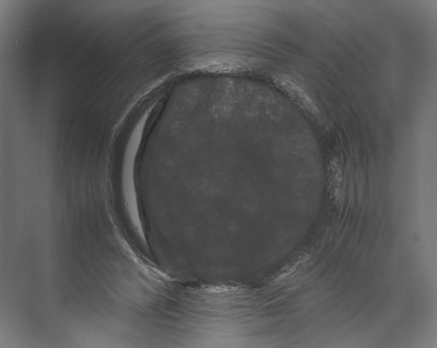 X0000071900400200608041348