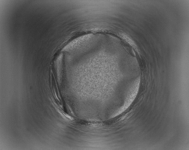 X0000071900401200608041348