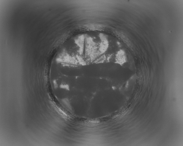 X0000071900402200608041348