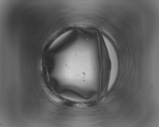 X0000071900403200608041348