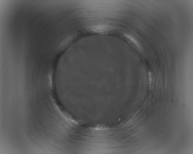 X0000071900404200608041348