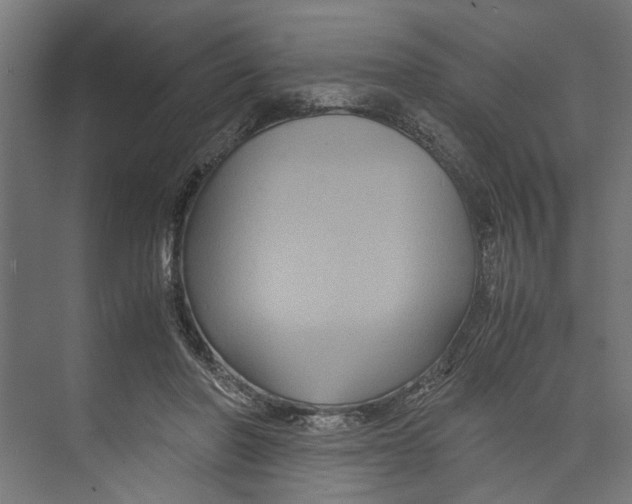 X0000071900406200608041348