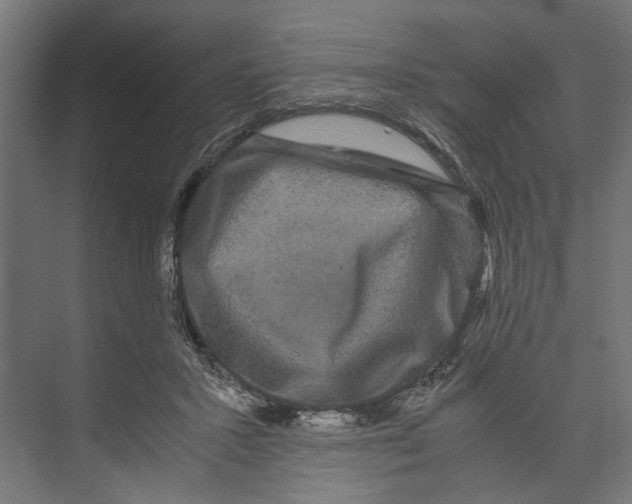 X0000071900407200608041348