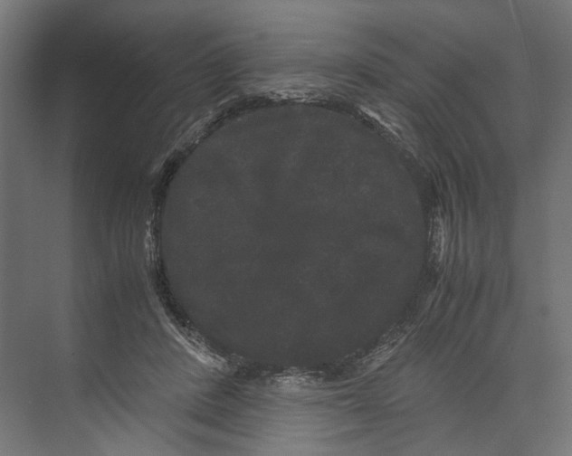 X0000071900408200608041348