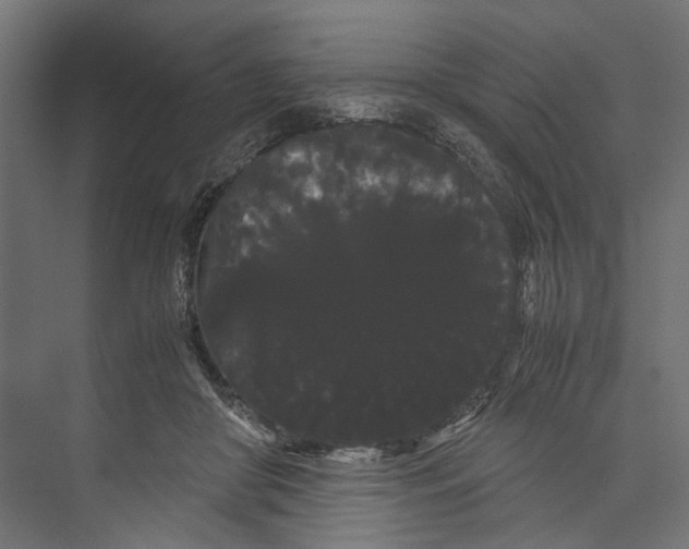 X0000071900410200608041348