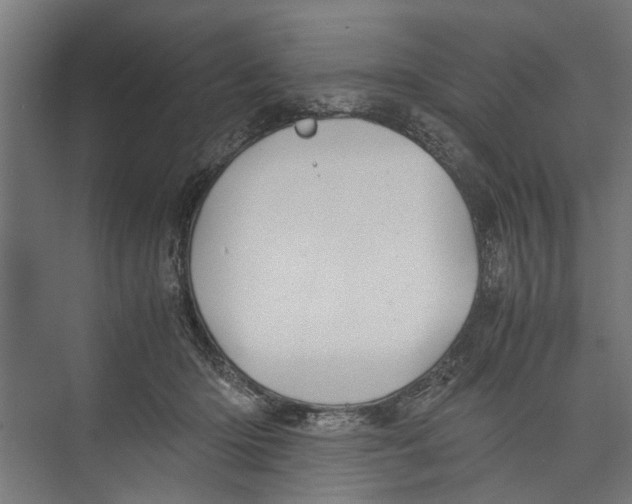 X0000071900414200608041348