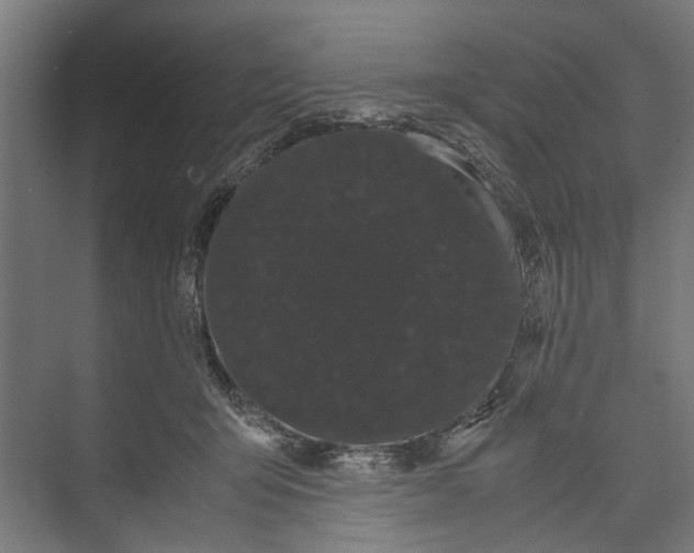 X0000071900415200608041348