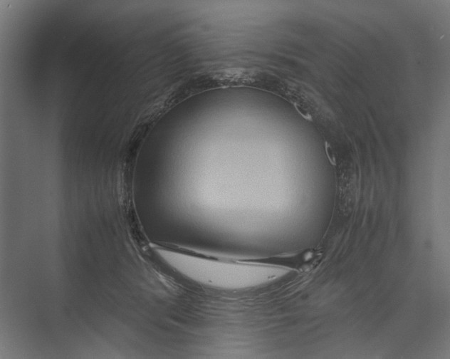 X0000071900416200608041348