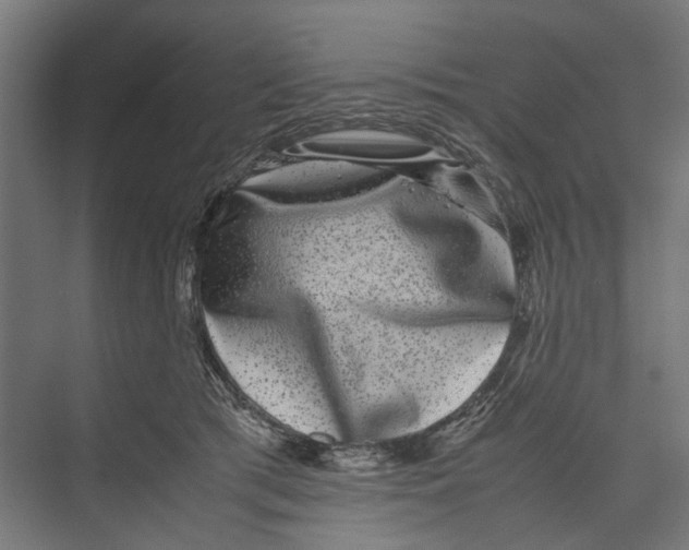 X0000071900417200608041348