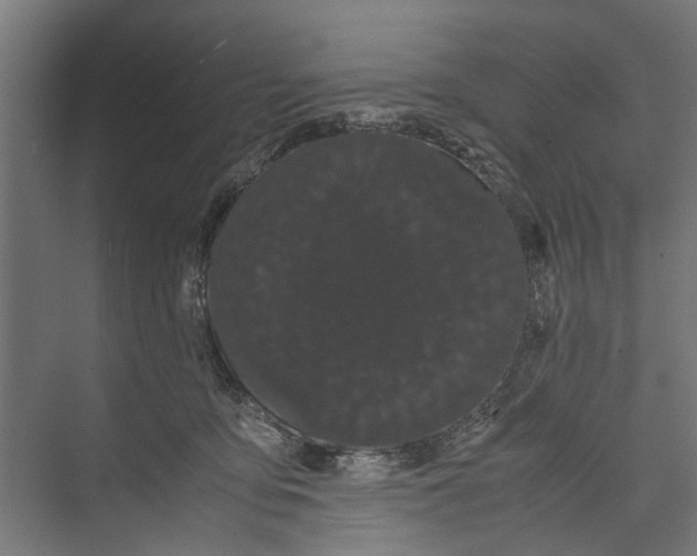 X0000071900419200608041348