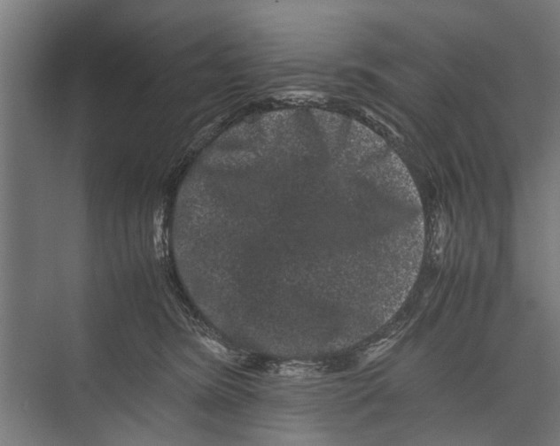 X0000071900420200608041348