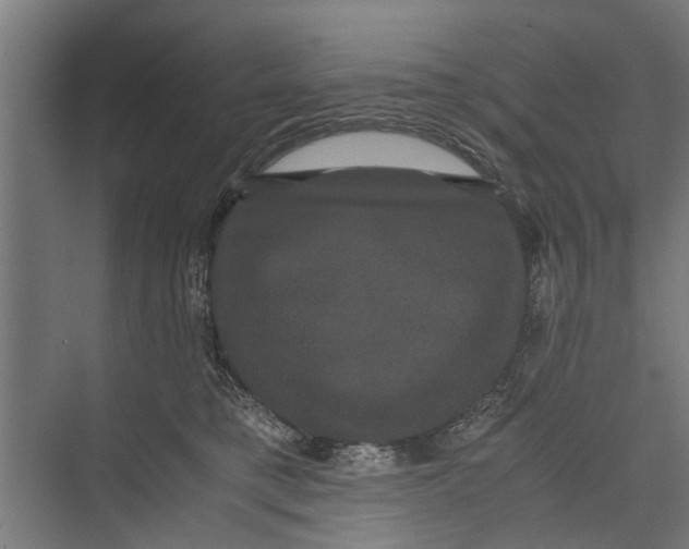 X0000071900421200608041348