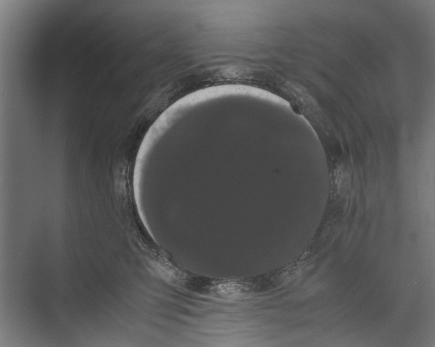 X0000071900423200608041348