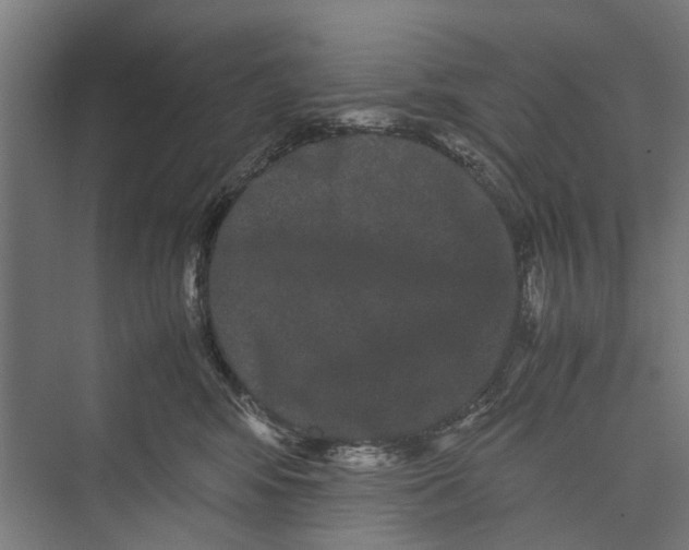 X0000071900424200608041348