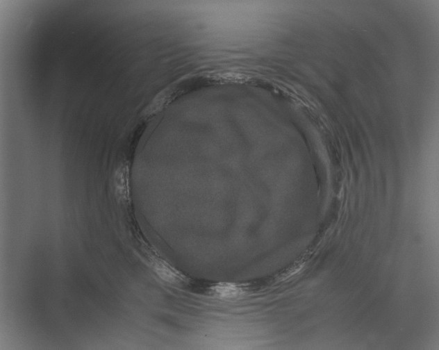 X0000071900425200608041348