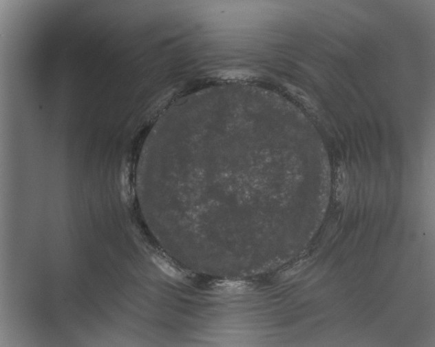 X0000071900428200608041348