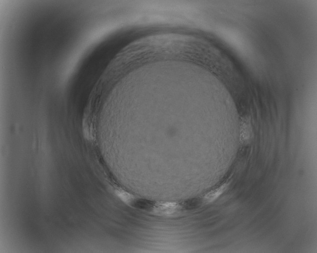 X0000071900431200608041348