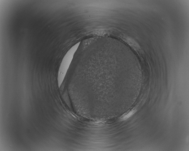 X0000071900432200608041348