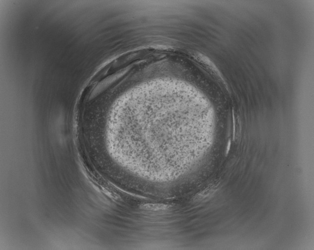 X0000071900435200608041347