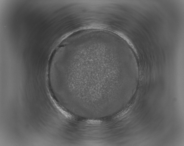 X0000071900437200608041347