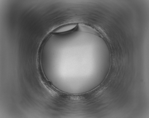 X0000071900439200608041347