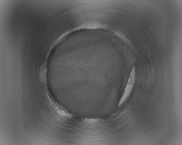 X0000071900440200608041347