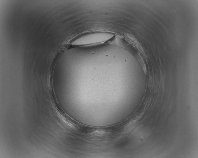 X0000071900441200608041347