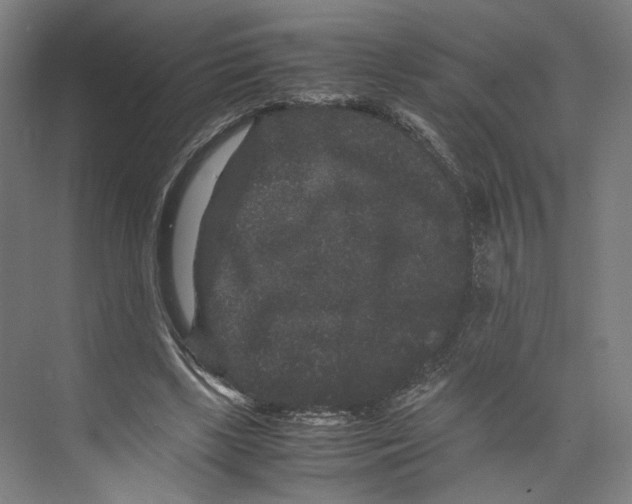 X0000071900443200608041347