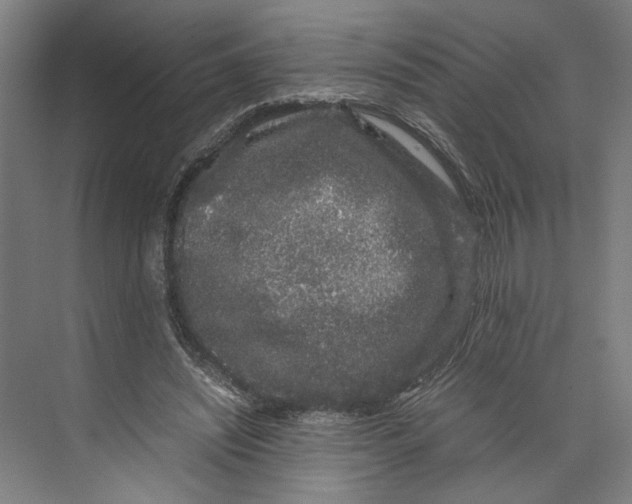 X0000071900444200608041347