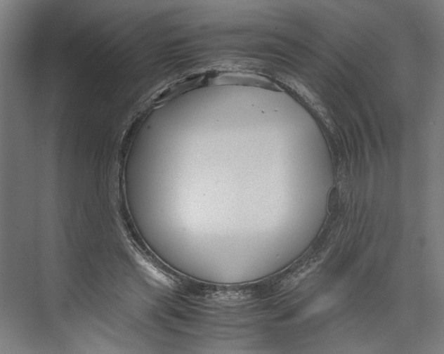 X0000071900445200608041347