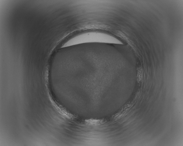 X0000071900448200608041347