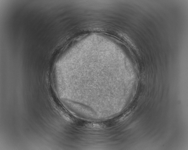 X0000071900449200608041347