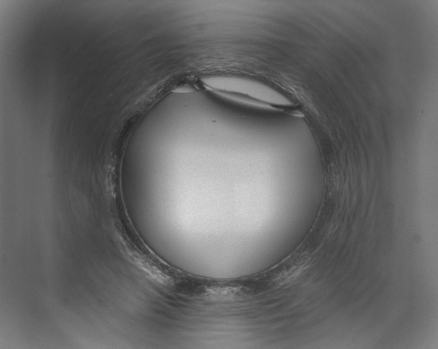 X0000071900450200608041347