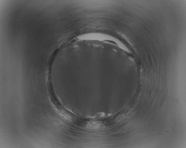 X0000071900451200608041347